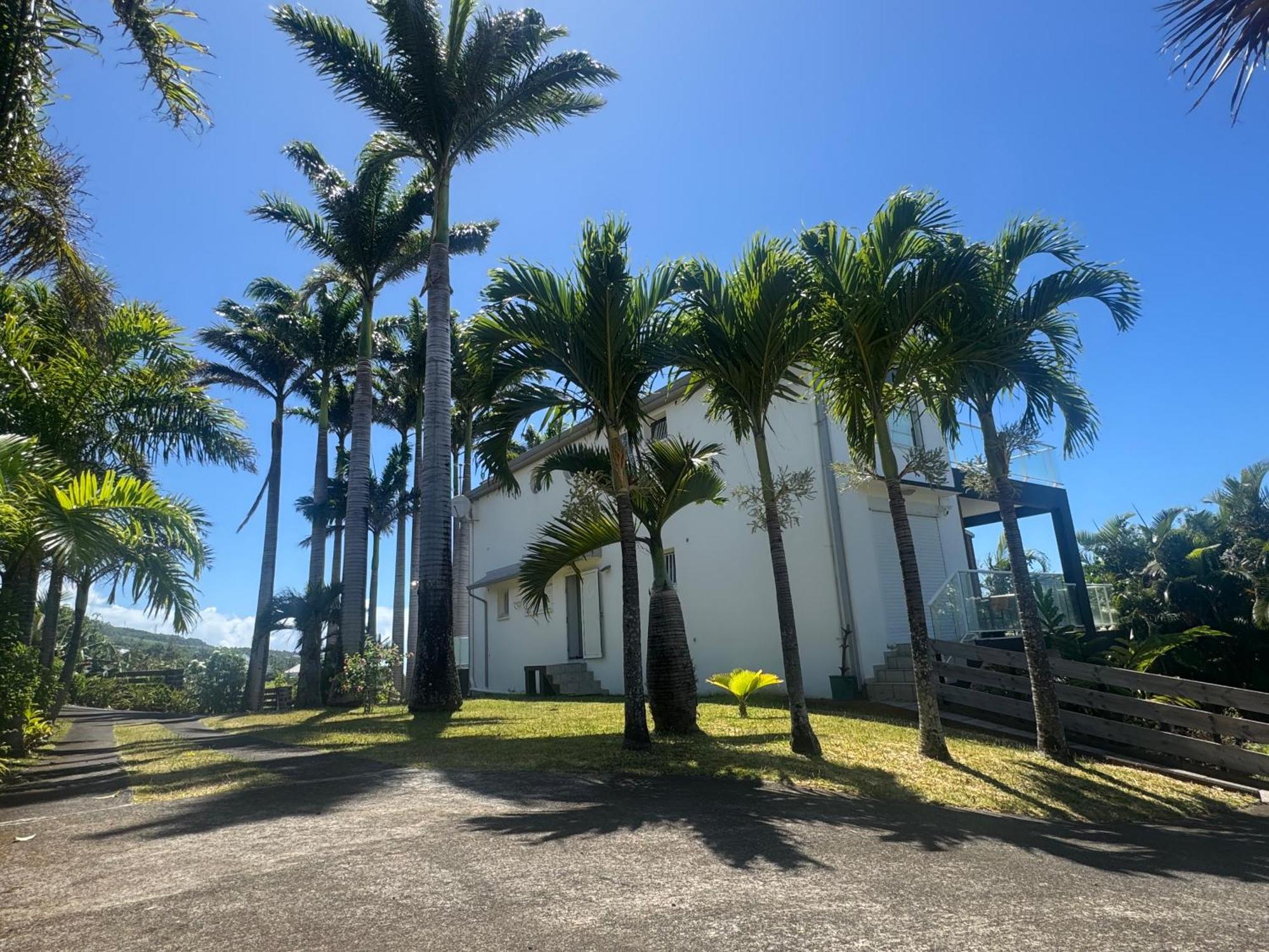 Grande Villa Au Calme - Vue Exceptionnelle - Climatisation - Piscine Sel Chauffee - Jardin Tropical Vincendo Exteriör bild